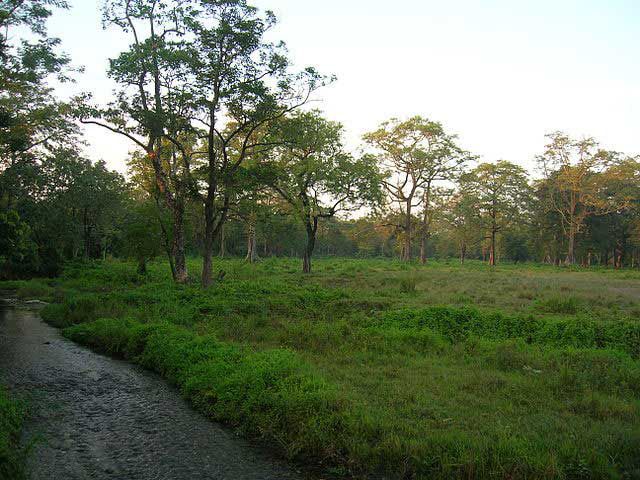  bntpal_1446423712_65