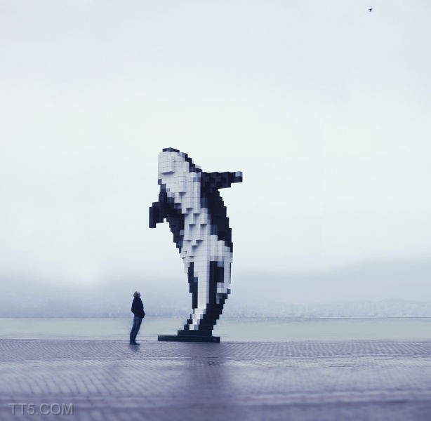 ..... bntpal_1446469150_86