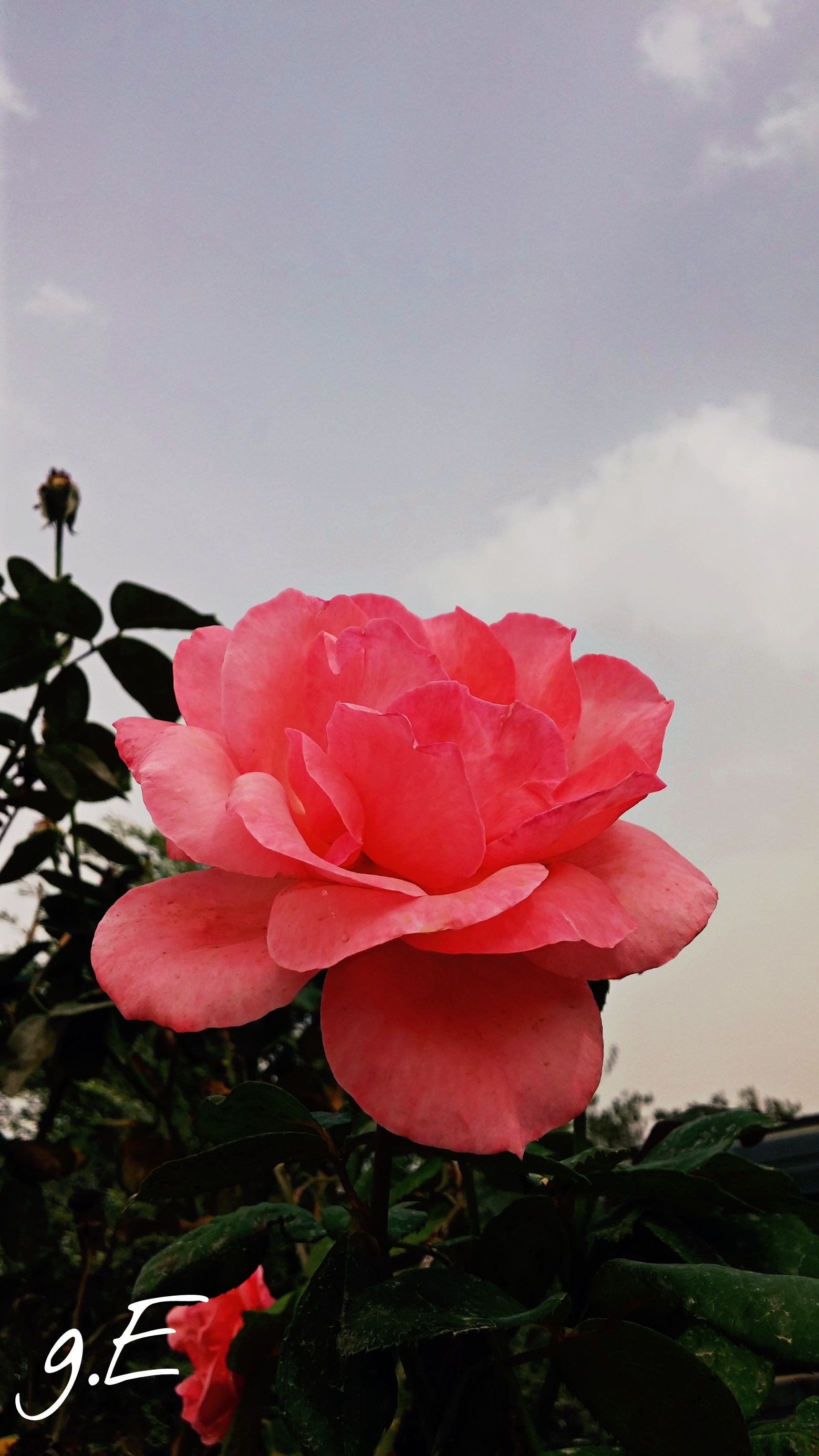   ❤ bntpal_1446629876_68
