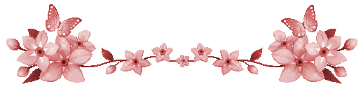 2016 bntpal_1446653510_84
