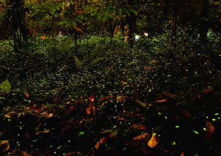  ! bntpal_1446669284_70