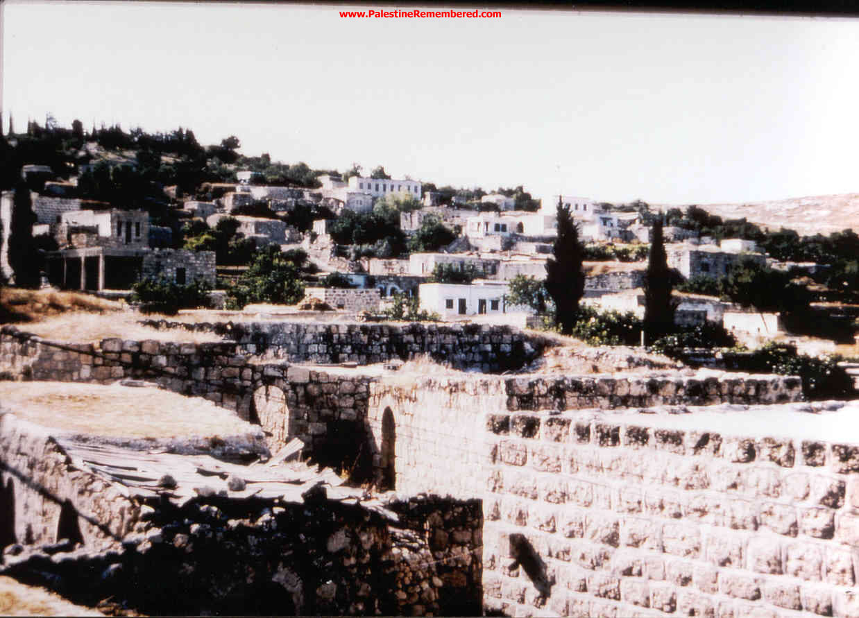  bntpal_1446724680_43