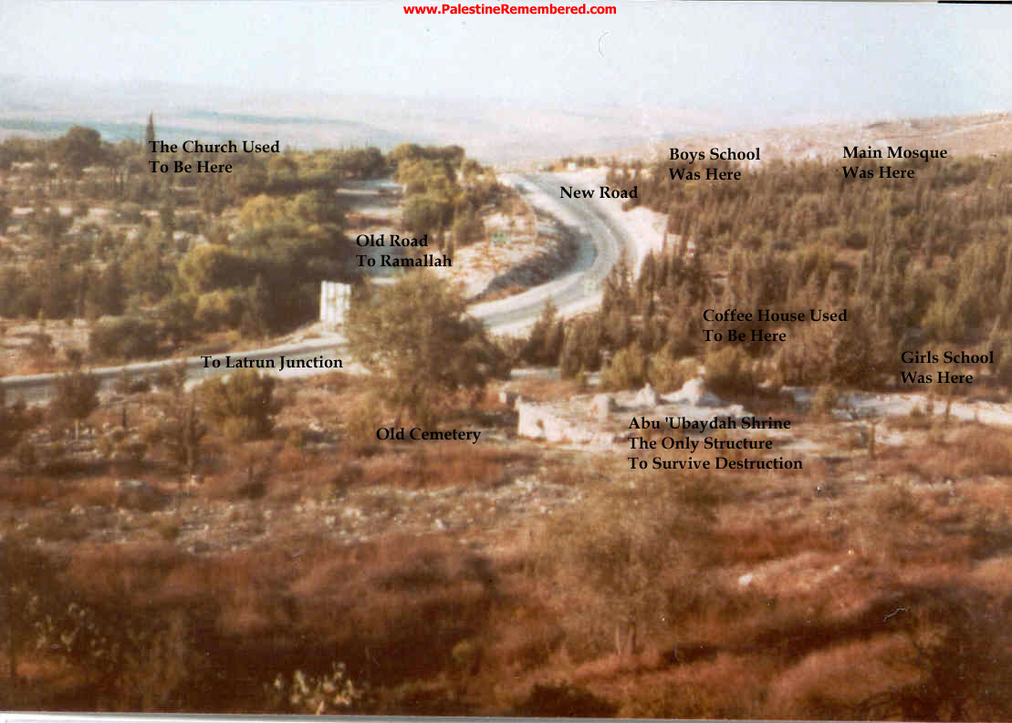  bntpal_1446724680_80