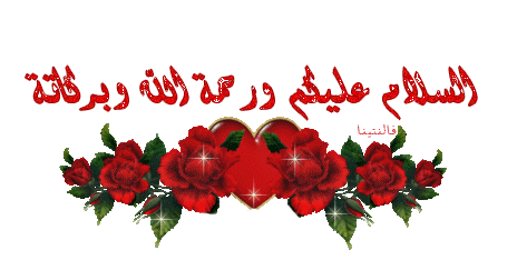 bntpal_1446724806_82