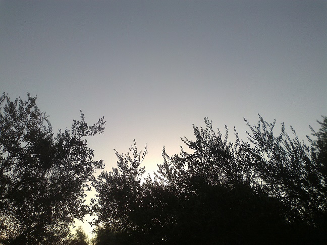.. bntpal_1446743440_37