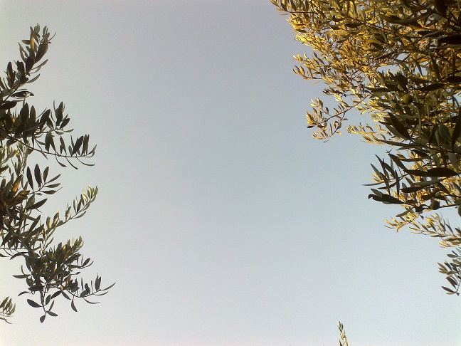 .. bntpal_1446743444_76
