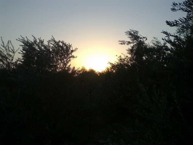 .. bntpal_1446743446_71