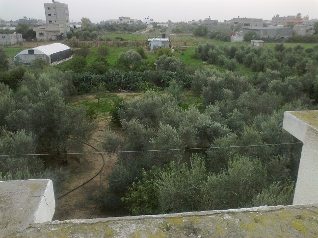 .. bntpal_1446743450_40