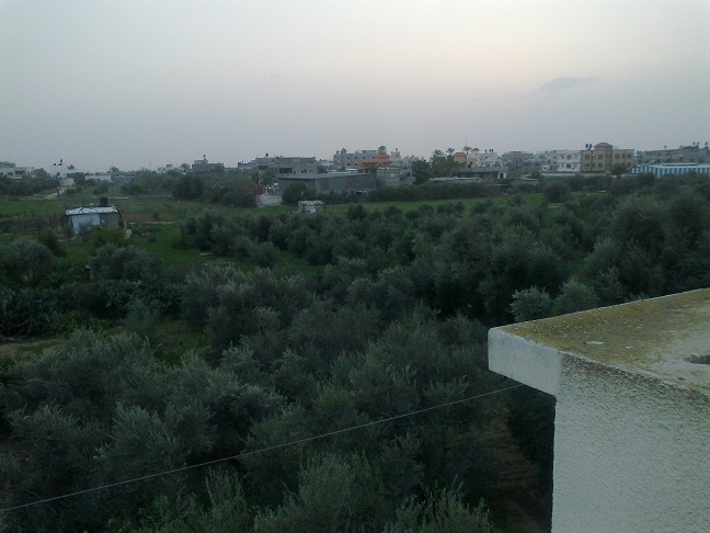 .. bntpal_1446743451_32