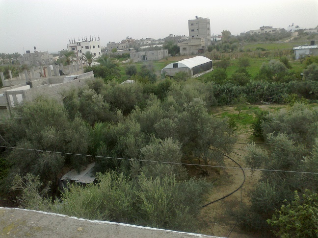 .. bntpal_1446743453_97