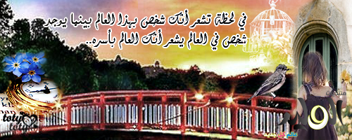 bntpal_1446877956_40