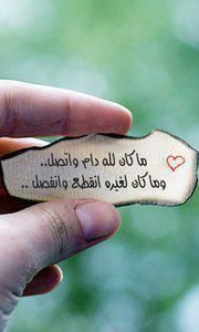 "" bntpal_1446972523_50