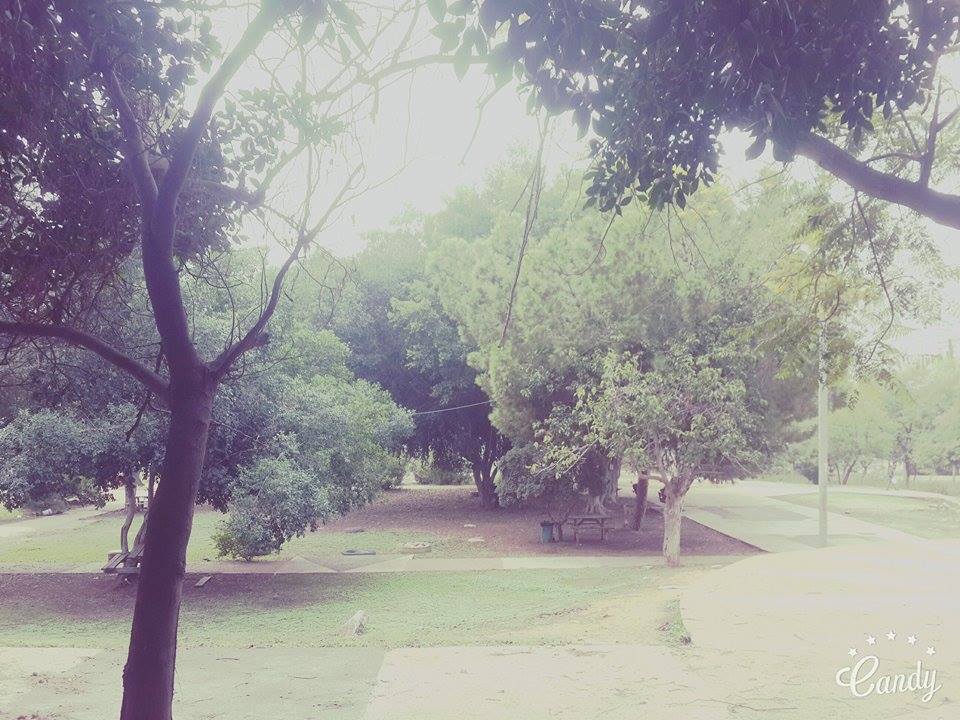   ❤ bntpal_1446990893_99