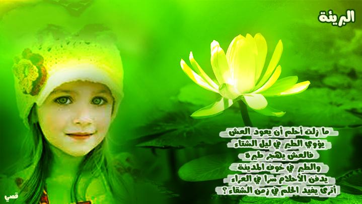 ,, , bntpal_1447019927_84