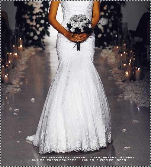 2016"Anne Barge" bntpal_1447043772_82