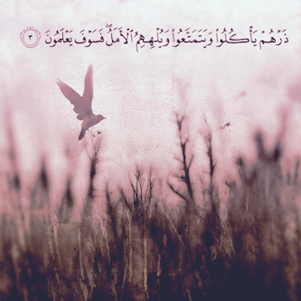 2015 2015 bntpal_1447048129_67