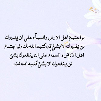 bntpal_1447048455_13