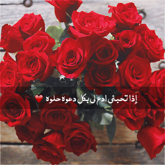  bntpal_1447048455_66