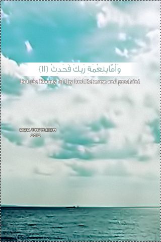  bntpal_1447048458_17