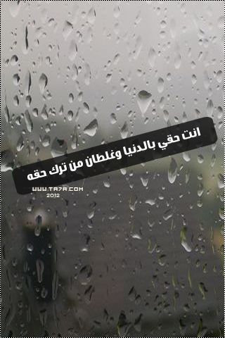  bntpal_1447048459_27