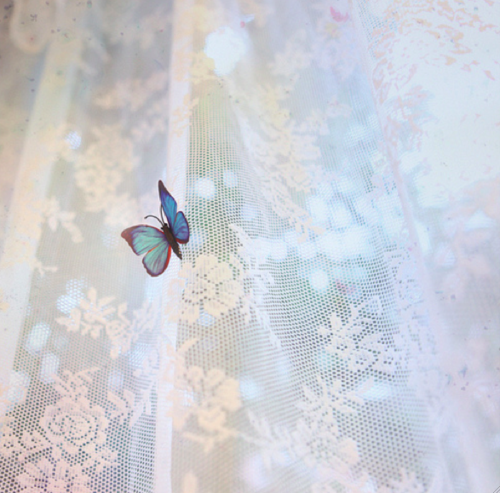 ★ bntpal_1447051406_75