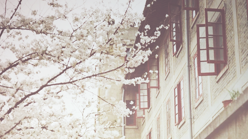★ bntpal_1447051416_63