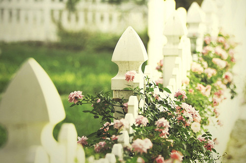 ★ bntpal_1447051417_70