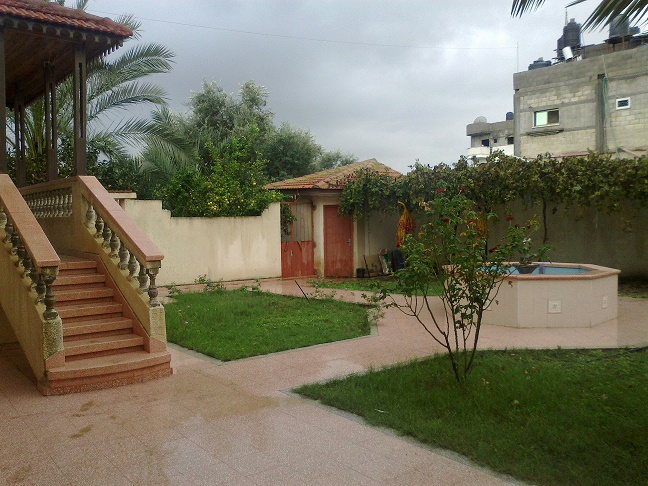 .. bntpal_1447083158_61