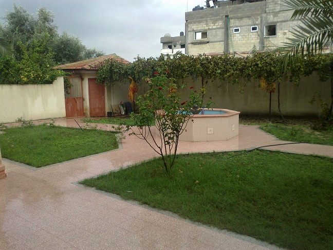 .. bntpal_1447083158_73