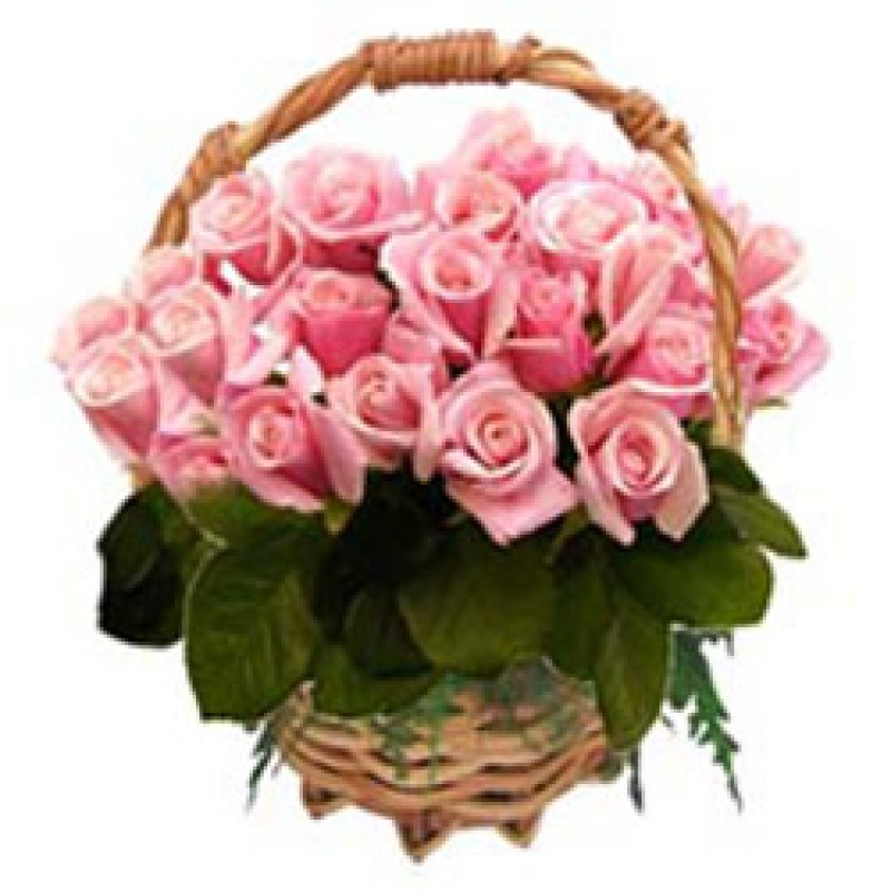 bntpal_1447272893_12