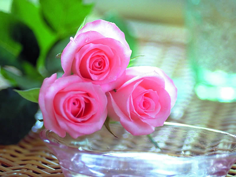 bntpal_1447272893_60