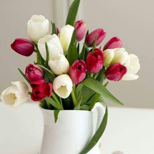 bntpal_1447272896_40