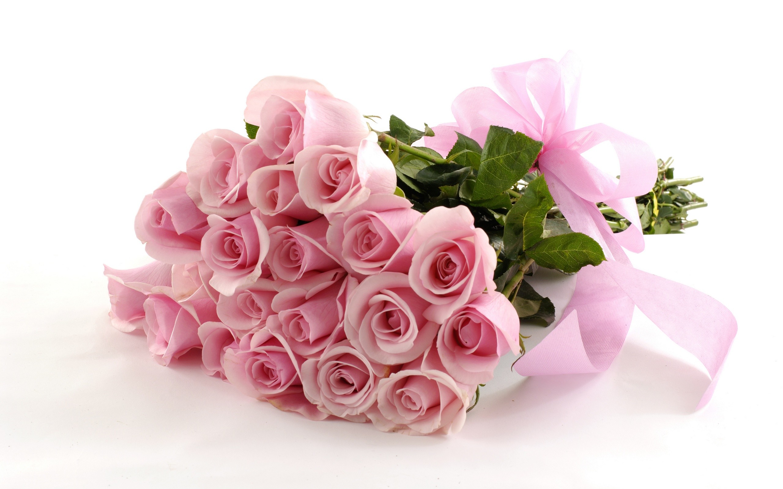 bntpal_1447272896_96