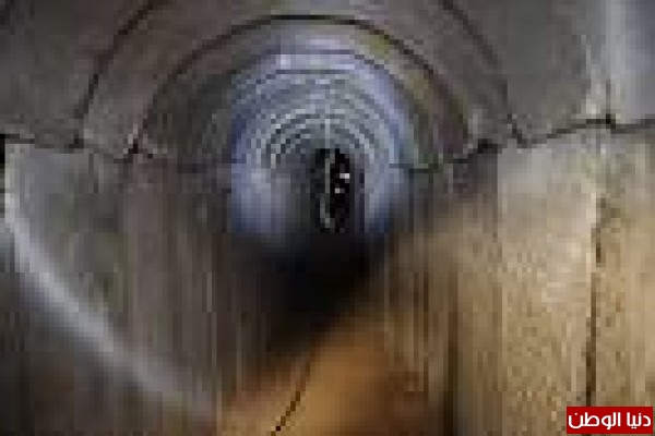  bntpal_1447337440_83