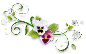 bntpal_1447391206_16