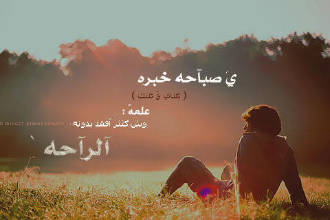 -2016-  -2017 bntpal_1447398103_92