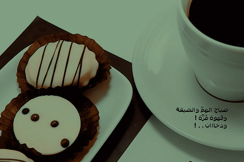 -2016-  -2017 bntpal_1447398104_88