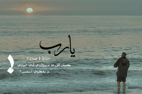 -2016-  -2017 bntpal_1447398105_81