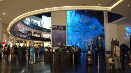  bntpal_1447402968_64