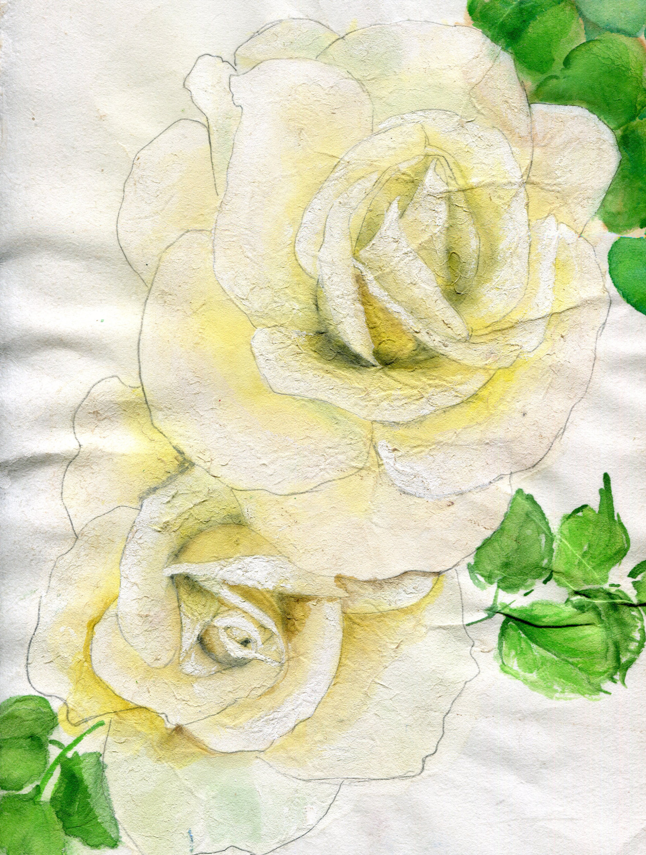 ★ bntpal_1447414739_65