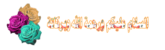 bntpal_1447686002_47