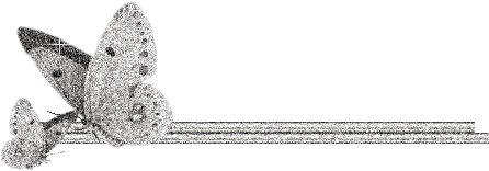 bntpal_1447715376_30