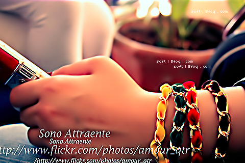  2016.  bntpal_1447732195_69