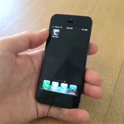 bntpal_1447795454_66