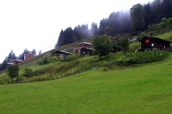  bntpal_1447857290_30