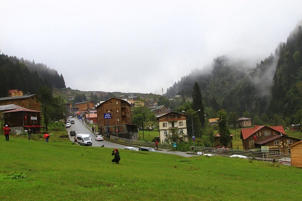  bntpal_1447857290_48