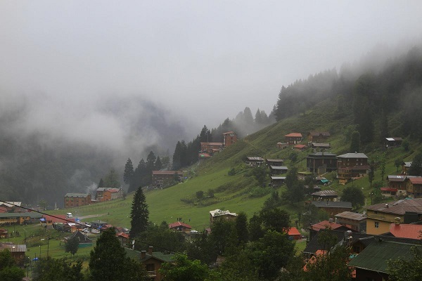  bntpal_1447857290_80