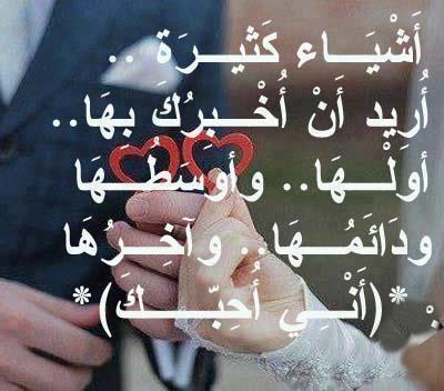 / bntpal_1447952971_17