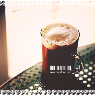 -2016 bntpal_1448038685_30