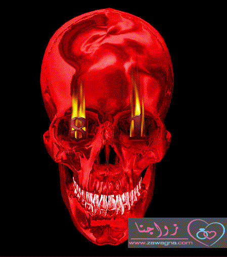 bntpal_1448294788_15